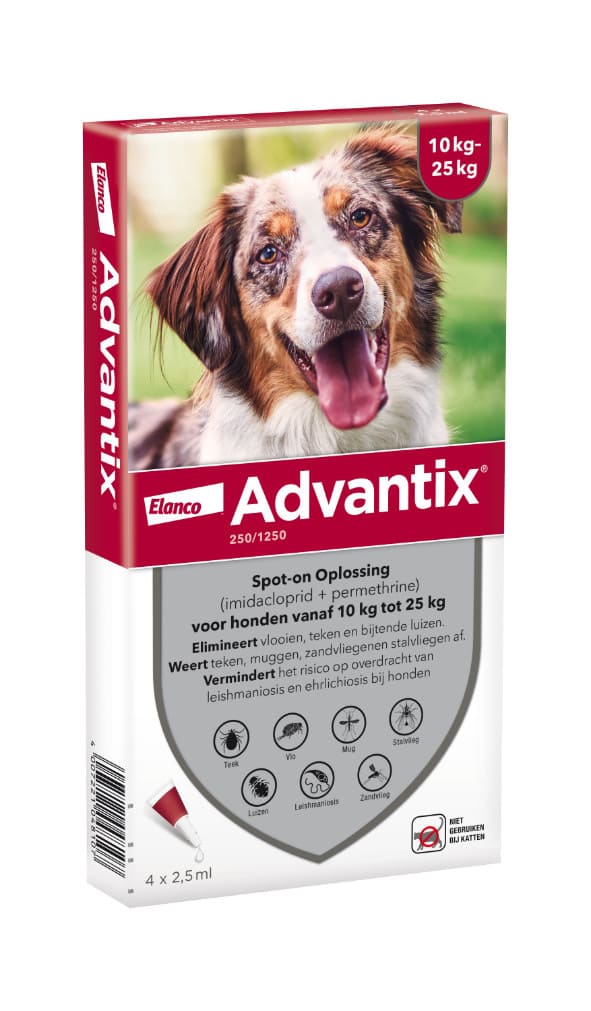 Advantix hond